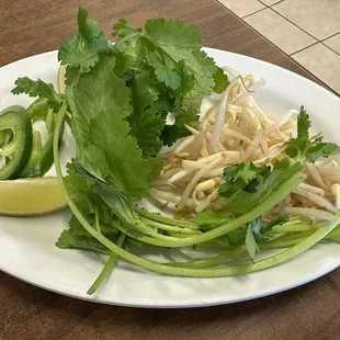 Side condiment for pho - no basil! 2/2023