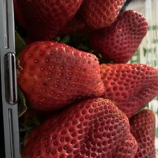 Fresh giant strawberries