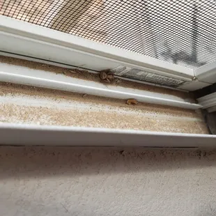 Master Bedroom window sill