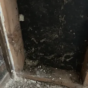Moldy wall ripped apart.