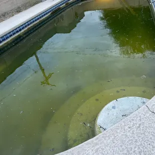 The condition of our pool under RPM's management