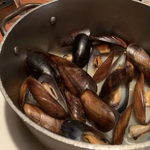 Amazing mussels