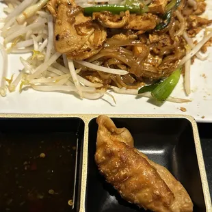Pad Thai with dumpling on the side