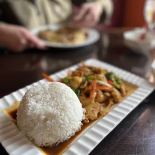 a plate of rice and chicken
