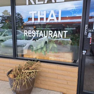 a potted plant in front of a restaurant