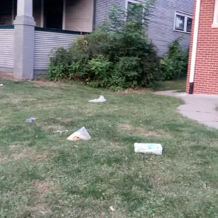 Trash from 2 months ago!