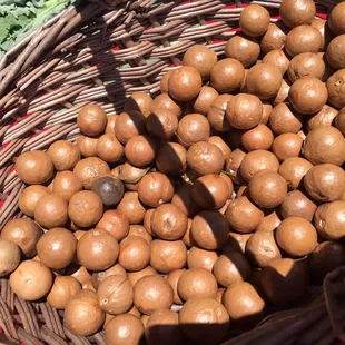 ...and people call ME a &quot;Nut basket&quot;