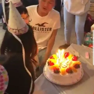 They ate so far so I just have that picture in a video