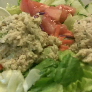Tuna Salad Sandwich