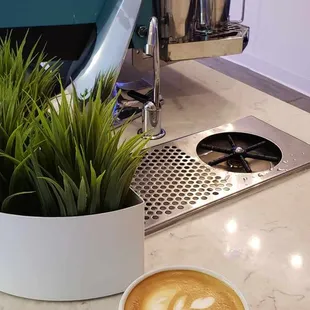 a cup of cappuccino and a potted plant