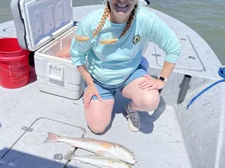 Tooth and Scale Guide Service