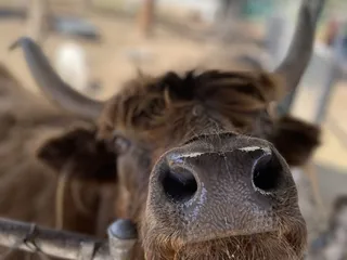 Carl's Damaged Pet Warehouse