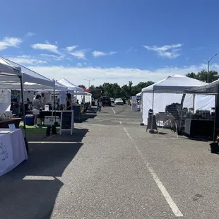 Overview of the market