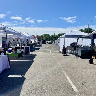 Overview of the market