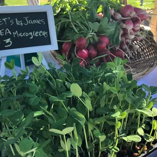 a variety of vegetables on display