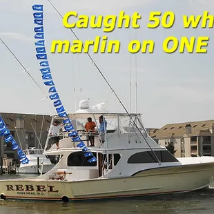 Caught 50 white marlins with live bait on a single Virginia Beach offshore fishing charter trip!