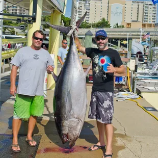 265lbs big eye tuna caught on overnight offshore fishing charter off coast of Virginia Beach.  Took angler 1hr 52mins to reel in