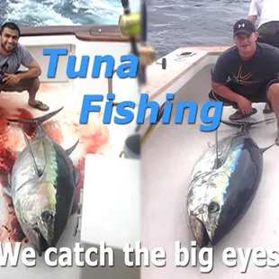 Big eye tuna, blue fin tuna, yellow fin tuna fishing trips
