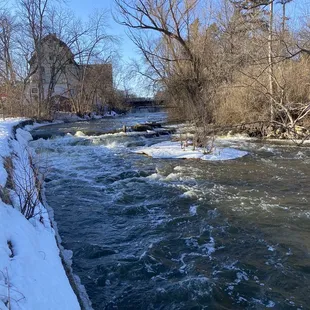 Beautiful scenery at Rebellion!