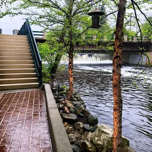 View of Cedar Creek from the entrance of the brewery