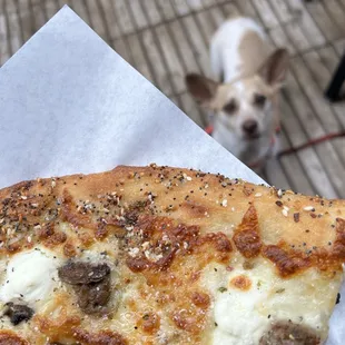Bagel crust was outstanding!! My dog was very happy too.