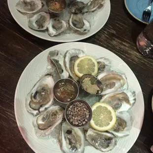 Oysters