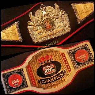 The Chicago Title (black) is the one the did for me. Zoom in and check out the great detail