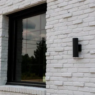 the reflection of a tree in a window