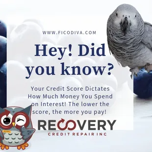#lucy #wants #to #see #if #you #knewit 

#ficodiva #recoverycreditrepairinc #ficoscore #Fico  #creditrepair