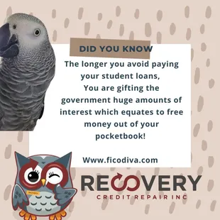 #did #youknow #student #loans #are #free #money to the #government #when you #keep  #them #on #deferment 

#ficodiva #recoverycreditrepair