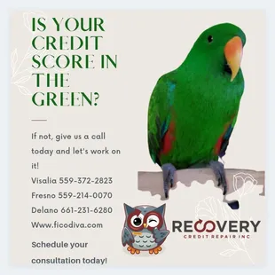 Let us know Buddy Sent you!