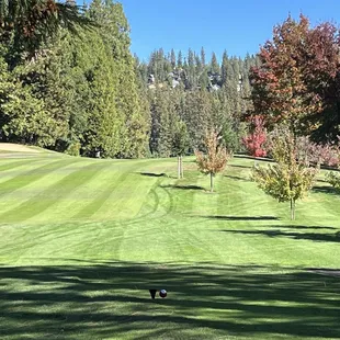 9th hole from the tee