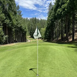 15th hole looking back to the tee boxes
