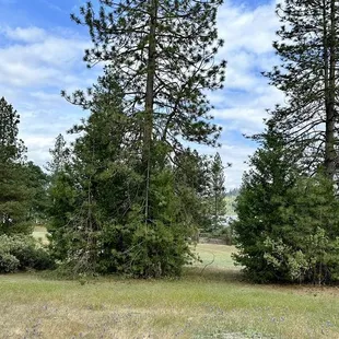 Just beyond a baseball diamond and volleyball net