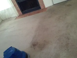 Truegreen Carpet Care