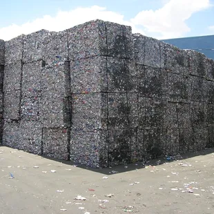 Aluminum beverage cans