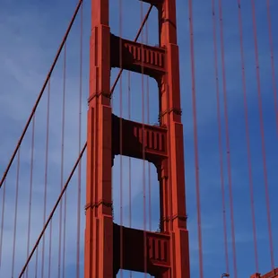 Scenes of the Bridge to Bridge Cruise