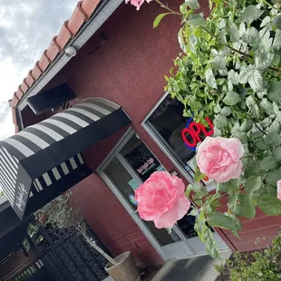 The opening of "Red Apple Cafe"