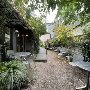 ramen and noodles, outside