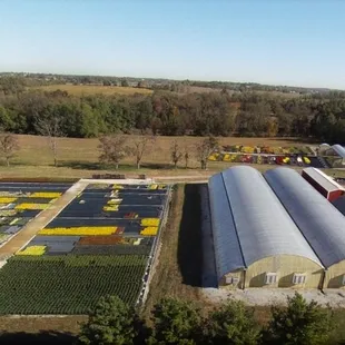 36 years specializing in business-to-business plant wholesale