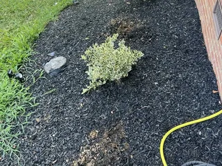 Silver Cliff Landscaping