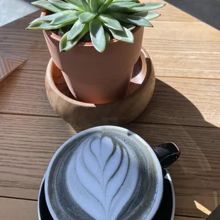 Charcoal Latte