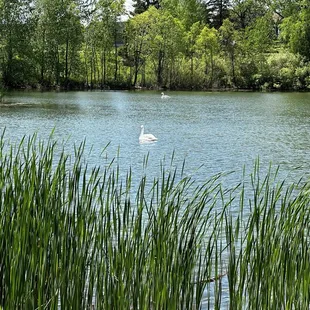 Scenic wedding venue