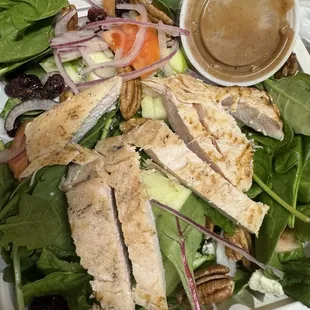 Grilled chicken salad with cranberries, pecans, onions, tomatoes, and a balsamic vinaigrette