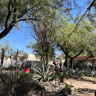 outside