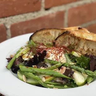 Burrata and Greens Salad