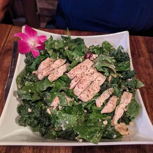 Chicken walnut cranberry vinaigrette salad.