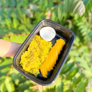 Green Tea Sweet Sticky Rice with Mango
