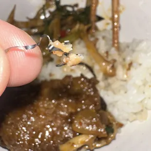 Yeaaaa not cool man....METAL IN BEEF