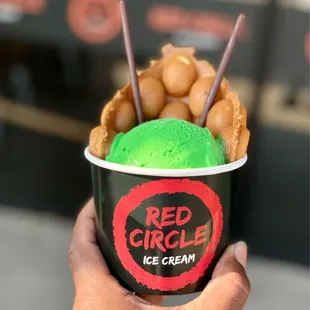 Red Circle Ice Cream - Pearland